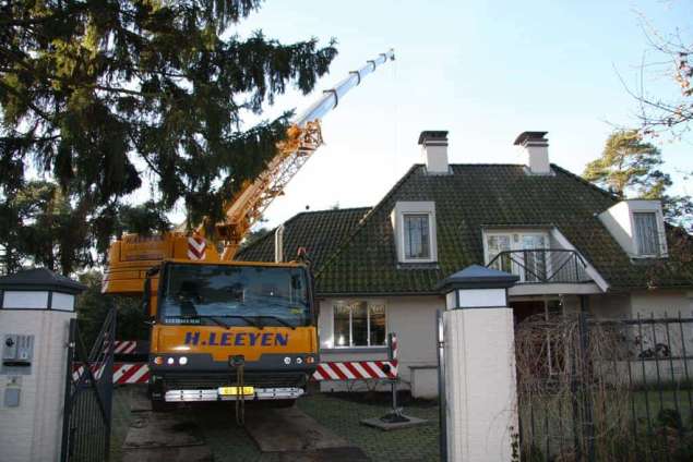 bomen rooien met kraan in Vught hovenier Tilburg